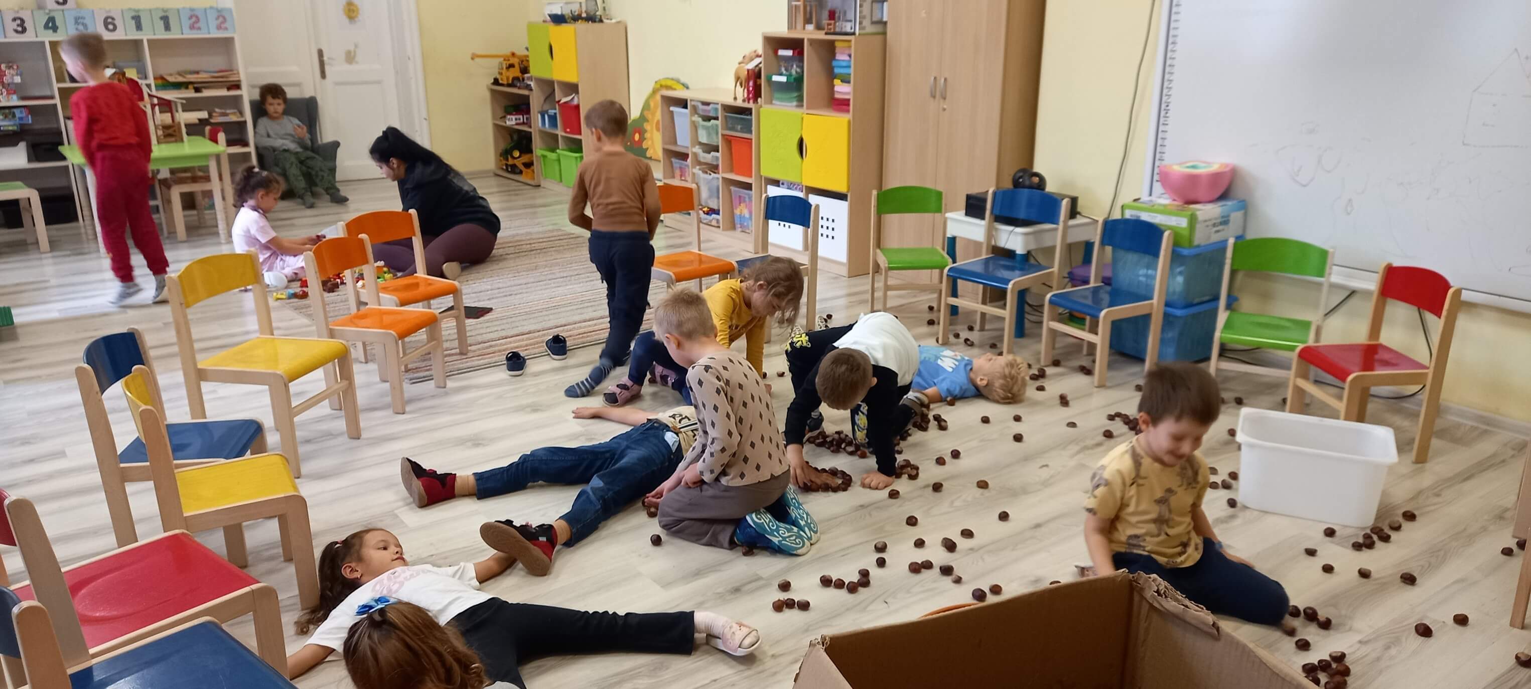 Poldenný program